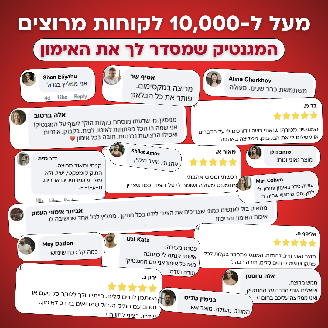 מגנטיק